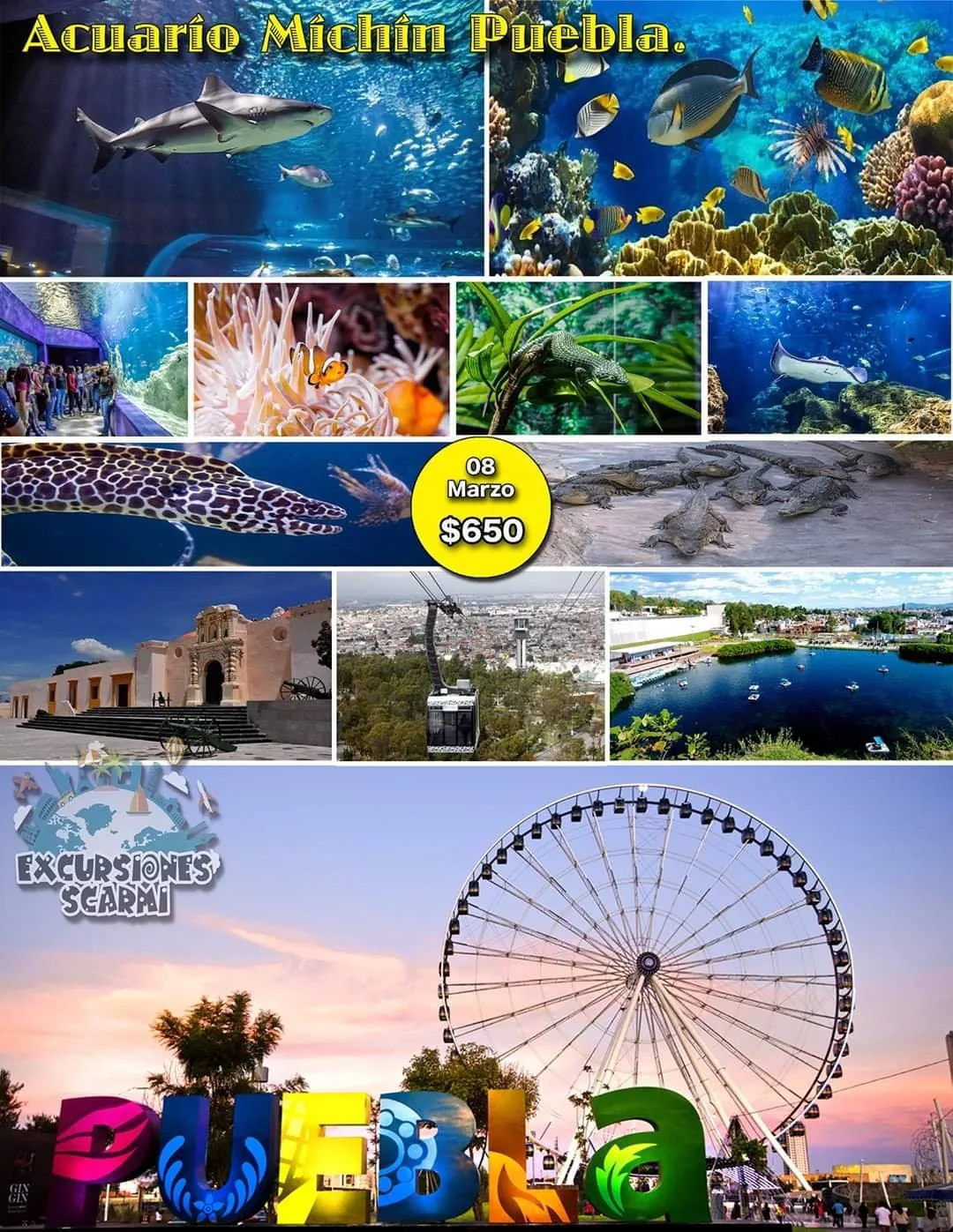 Acuario Michin Puebla